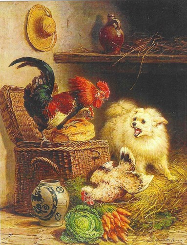 Nuova cartolina cani museo - nuova,