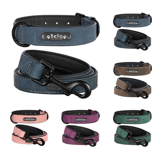 Collare guinzaglio per cani - collare,