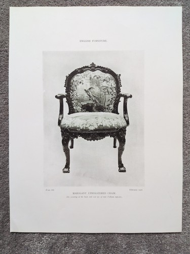 Example english mahogany - example,