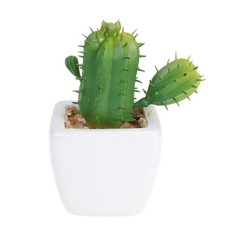 Succulente artificiali - ,