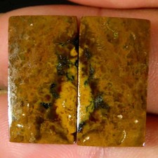 23,80 ct. Coppia di cuscini in