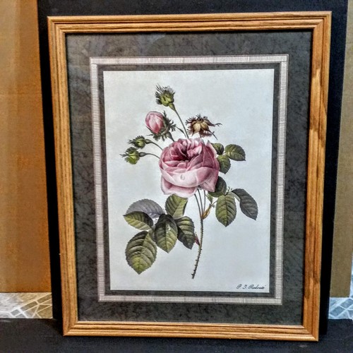 Quadro botanica decorazione