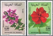 Morocco 1985 Bougainvillea,Hibiscus,Flowers,Flora,Plants,Nature 2v MNH