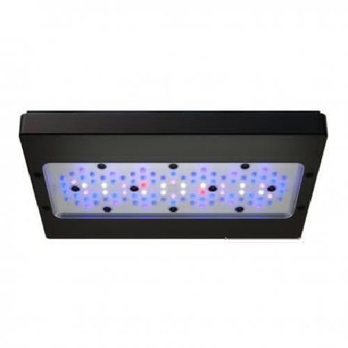 Ecotech marine radion - marine, xr30w