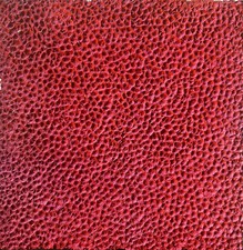 jorrit tornquist 50x50 cm