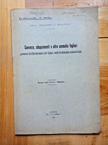 1911 coerenze sdoppiamenti e - sdoppiamenti,