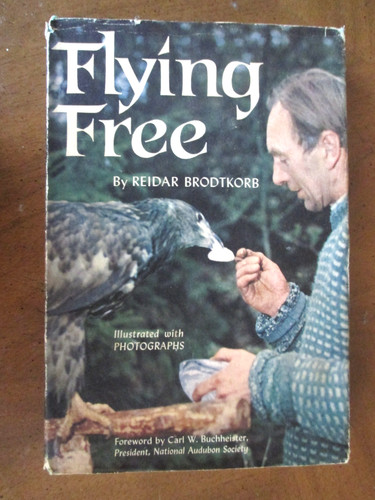 Flying free reidar - by,