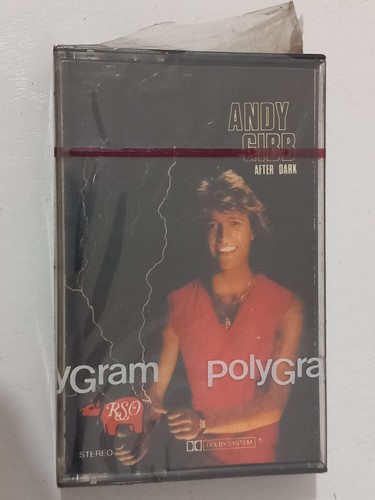 Andy gibb after - andy,