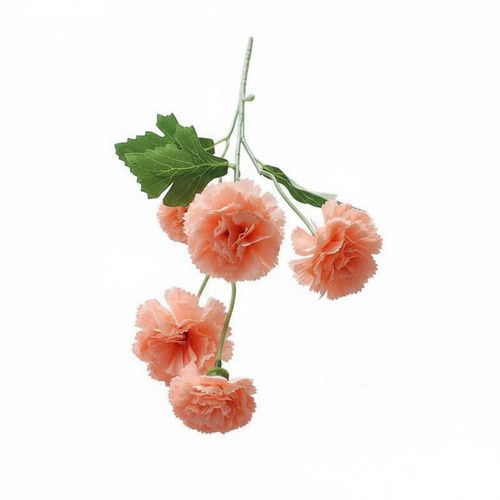 Bouquet garofani - di,