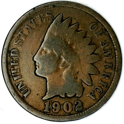 1902 testa di - testa, indiano