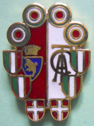 Distintivo spilla pin badge - spilla,