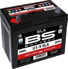 Batterie AGM SLA BS Battery