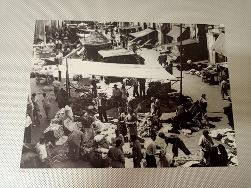 Riproduzione foto alinari - riproduzione, il
