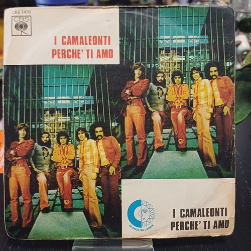 Disco giri camaleonti - 45,