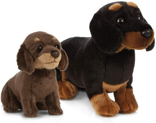 Cane cucciolo peluche - cane, pet