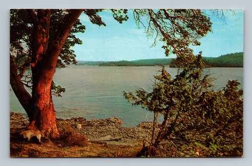 San juan islands - san, wa