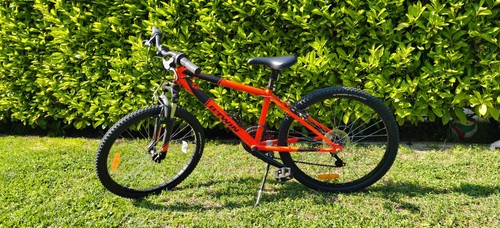 Bicicletta pollici twin - bicicletta,