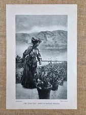 The Last Flowers Leonardo