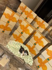 Bellissimo Lotto Stock 15