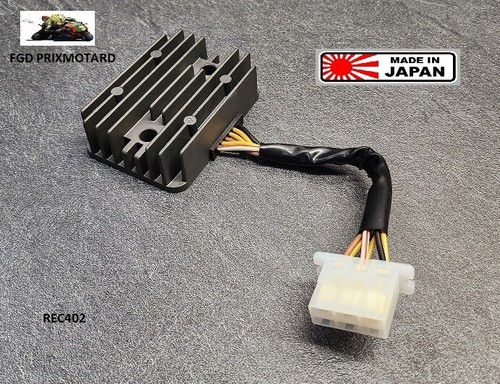 Kawasaki 500 1990 - 500, 1990/2003