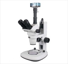 Ultimate Professionale Zoom