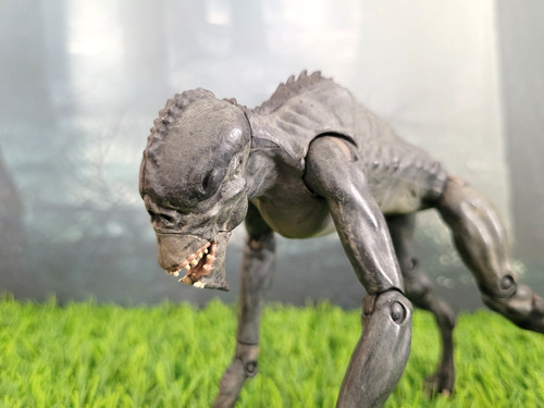 Primeval future predator alien - future,