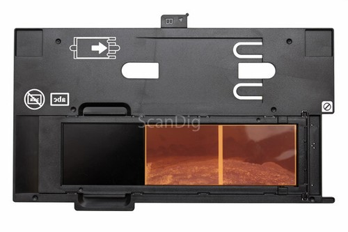 Epson supporto pellicola - mf,