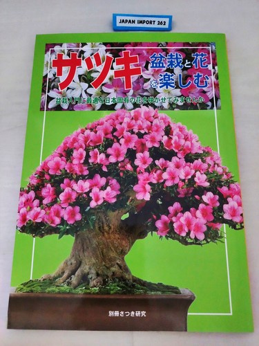 Satsuki enjoy bonsai and - satsuki,