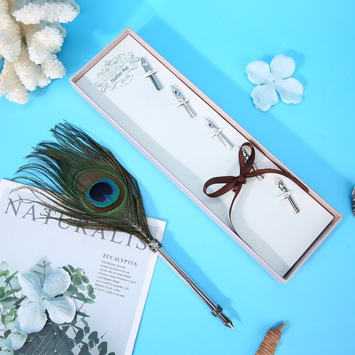 Kit penna calligrafica stile