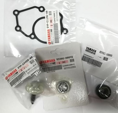Kit revisione pompa acqua - kit,
