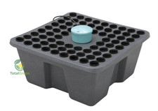 Sistema propagazione cloni