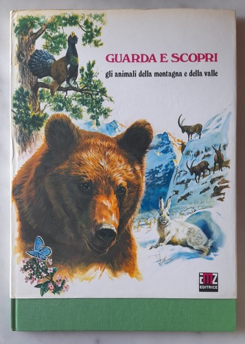 Editrice amz guarda scopri - amz,