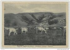 BAGNOLI IRPINO -AVELLINO