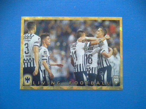 Figurine panini fifa - figurine, 365