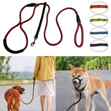 Guinzaglio per Cani Cuccioli