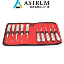 10pz Ascensore Dentale Estrazione Denti Acciaio Inox Curvo Radice Sollevatore Elevatore