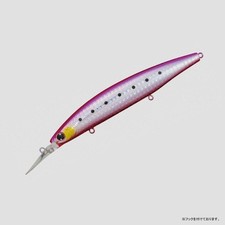 [Daiwa] Shoreline Shiner Z Set