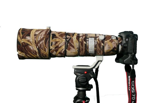 Canon 200 400mm l - ef, f4
