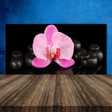 120x60 Paraschizzi in Vetro