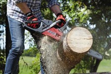 Motosega per uso privato EFCO