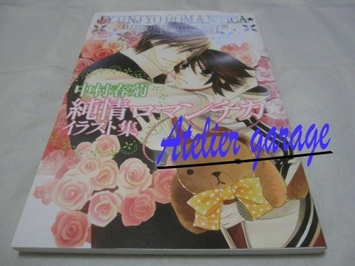Libri usati junjou - libri,