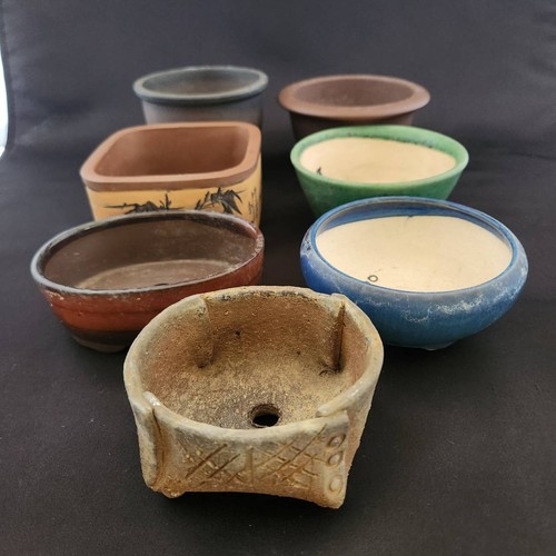 Set piccole vasi bonsai - 7,