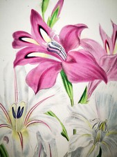 1841, J.W. LOUDON FINEST 1° EDIZIONE ANTICO BULBO ACQUERELLO ORIGINALE VKN