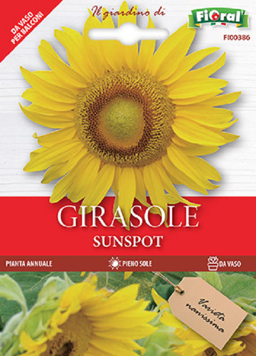 Fioral seme girasole sunspot - seme,