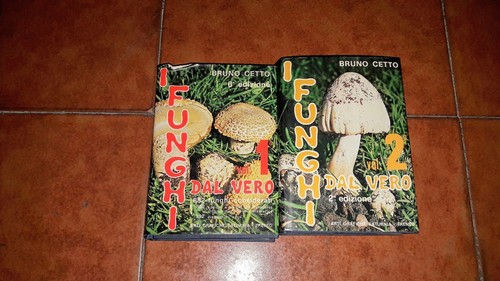 Bruno cetto funghi dal - cetto, vero