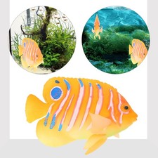  Pesci Finti Per Acquario