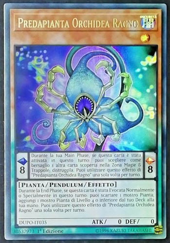 Predapianta orchidea ragno - predapianta,