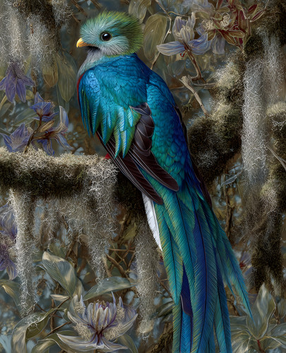 Stampa artistica persico