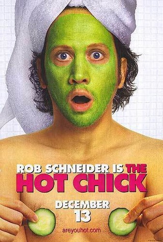 Locandina film the hot chick - the,