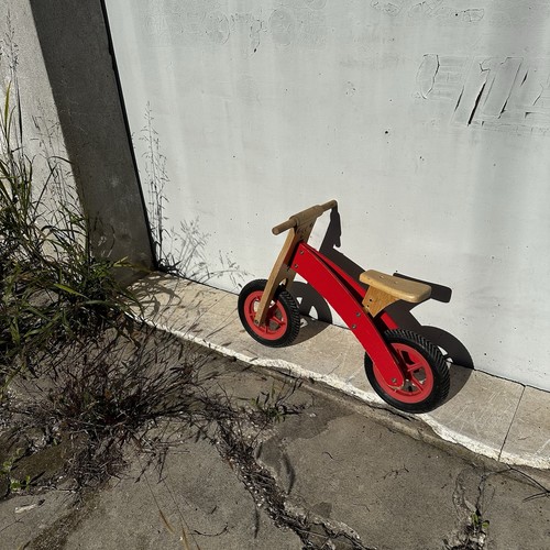 Bici pedagogica legno - pedagogica, in